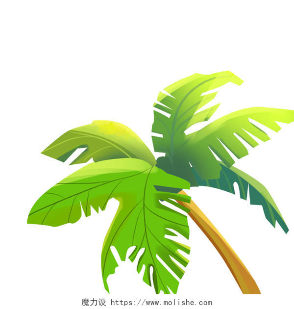 绿色手绘卡通椰树椰子树植物树木元素PNG素材